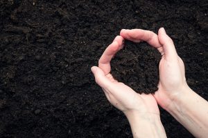 What Does Good Topsoil Look Like?