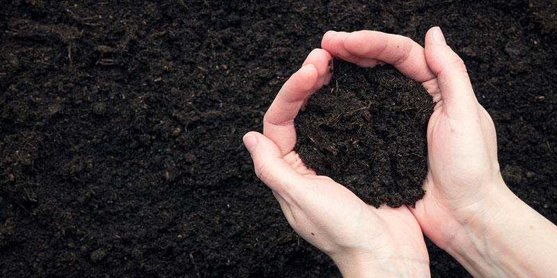 What Does Good Topsoil Look Like?