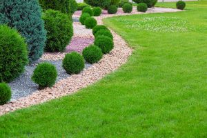 Rock and Stone for Sale: Three Advantages of Buying in Bulk