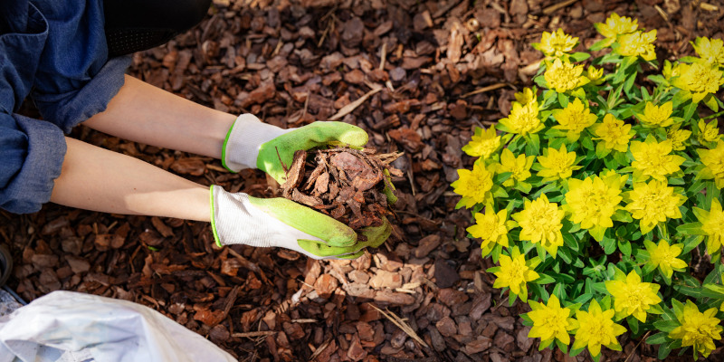 Transform Your Outdoor Space with Mulch