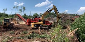 What to Expect from the Land Clearing Disposal Process