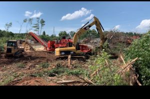 Things to Know About Our Land Clearing Disposal Services