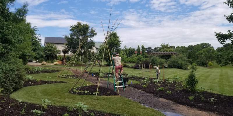 How Landscape Mulch Impacts Your Yard