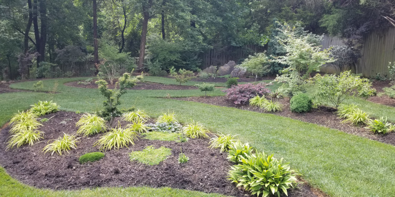 3 Great Reasons to Add Mulch to Your Garden